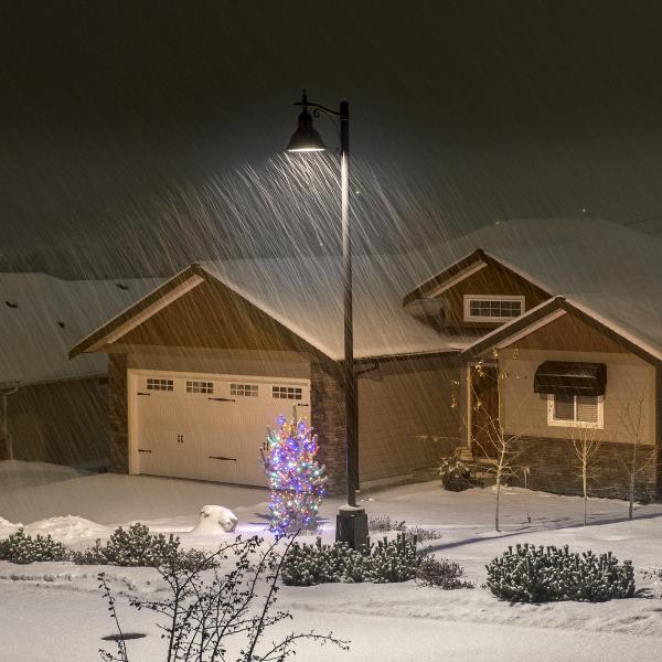 Christmas Snow Shower